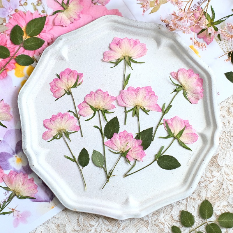 Resin Art Uv - 12pcs, Bunga Kering Asli untuk Casing